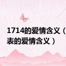 1714的爱情含义（17代表的爱情含义）