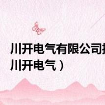 川开电气有限公司招聘（川开电气）