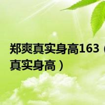 郑爽真实身高163（郑爽真实身高）