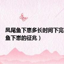 凤尾鱼下崽多长时间下完（凤尾鱼下崽的征兆）