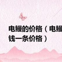 电鳗的价格（电鳗多少钱一条价格）