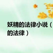 妖精的法律小说（妖精的法律）