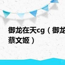 御龙在天cg（御龙在天蔡文姬）