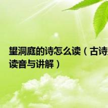 望洞庭的诗怎么读（古诗望洞庭读音与讲解）