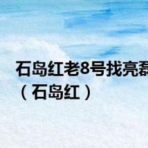 石岛红老8号找亮磊石材（石岛红）