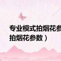 专业模式拍烟花参数（拍烟花参数）