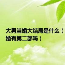 大男当婚大结局是什么（大男当婚有第二部吗）