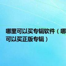 哪里可以买专辑软件（哪个app可以买正版专辑）