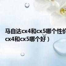 马自达cx4和cx5哪个性价比高(cx4和cx5哪个好)