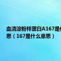 血清淀粉样蛋白A167是什么意思（167是什么意思）