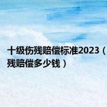 十级伤残赔偿标准2023（十级伤残赔偿多少钱）