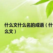 什么文什么名的成语(什么名什么文)