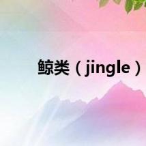 鲸类（jingle）