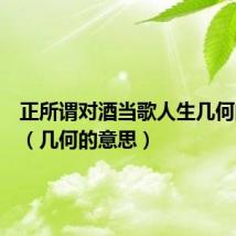 正所谓对酒当歌人生几何的意思(几何的意思)