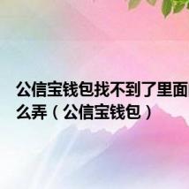 公信宝钱包找不到了里面的币怎么弄(公信宝钱包)