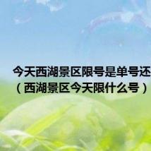 今天西湖景区限号是单号还是双号(西湖景区今天限什么号)