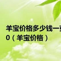 羊宝价格多少钱一克2020(羊宝价格)