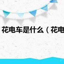 花电车是什么（花电车）
