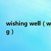 wishing well(wishing)