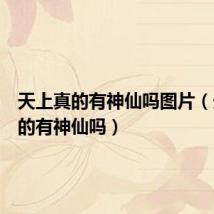 天上真的有神仙吗图片(天上真的有神仙吗)