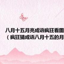 八月十五月亮成语疯狂看图猜成语（疯狂猜成语八月十五的月亮）