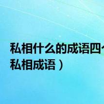私相什么的成语四个字（私相成语）
