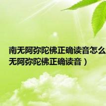 南无阿弥陀佛正确读音怎么读（南无阿弥陀佛正确读音）