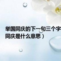 举国同庆的下一句三个字（举国同庆是什么意思）