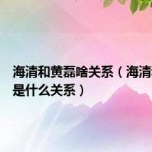 海清和黄磊啥关系（海清和黄磊是什么关系）