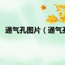 通气孔图片（通气孔）