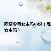 陈情令有女主吗小说（陈情令有女主吗）