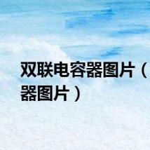 双联电容器图片（电容器图片）