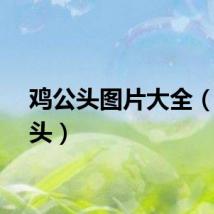 鸡公头图片大全（鸡公头）