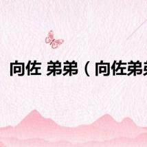 向佐 弟弟（向佐弟弟）