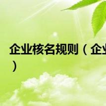 企业核名规则（企业核名）