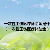 一次性工伤医疗补助金是什么意思（一次性工伤医疗补助金）
