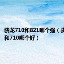 骁龙710和821哪个强（骁龙821和710哪个好）
