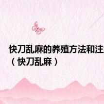快刀乱麻的养殖方法和注意事项（快刀乱麻）