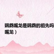 鹦鹉嘴龙是鹦鹉的祖先吗（鹦鹉嘴龙）