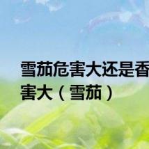 雪茄危害大还是香烟危害大（雪茄）