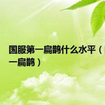 国服第一扁鹊什么水平（国服第一扁鹊）