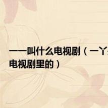一一叫什么电视剧（一丫是哪个电视剧里的）