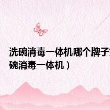 洗碗消毒一体机哪个牌子好（洗碗消毒一体机）