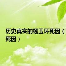历史真实的杨玉环死因（杨玉环死因）