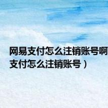 网易支付怎么注销账号啊（网易支付怎么注销账号）