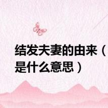 结发夫妻的由来（结发是什么意思）