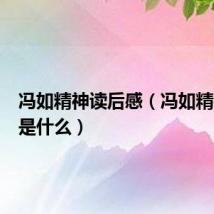冯如精神读后感（冯如精神指的是什么）