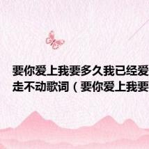 要你爱上我要多久我已经爱上你已走不动歌词（要你爱上我要多久）
