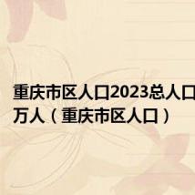 重庆市区人口2023总人口数多少万人（重庆市区人口）