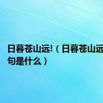 日暮苍山远!（日暮苍山远的下一句是什么）